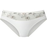 Dacapo Lié Slip Champagne