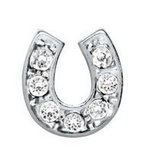 Floating Locket Charm Hoefijzer met strass steentjes