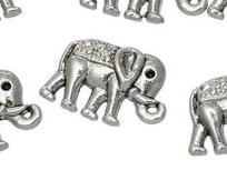 Floating Locket Charm Olifant