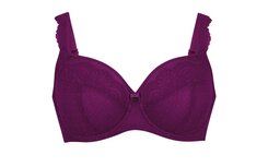 Rosa Faia Selma BH met beugel Purple Wine Cup F-J