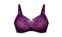 Anita Care Rosemary BH Purple