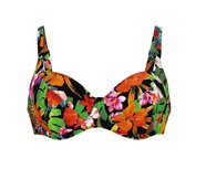 Rosa Faia Wild Garden Bikini Federica-Brenda Zwart-Gebloemd