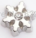 Floating Locket Charm Sneeuwvlok