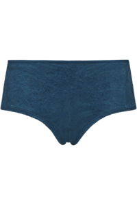Marlies Dekkers Space Odyssey  Brazilian Shorts  Teal Lace