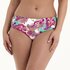 Anita Care Island in the Sun Bikini Santa Rosa_