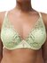 Chantelle Legend Plunge BH met Beugel Wild Pistache_
