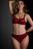 Marlies Dekkers Dame de Paris Brazilian Slip Midnight Merlot_